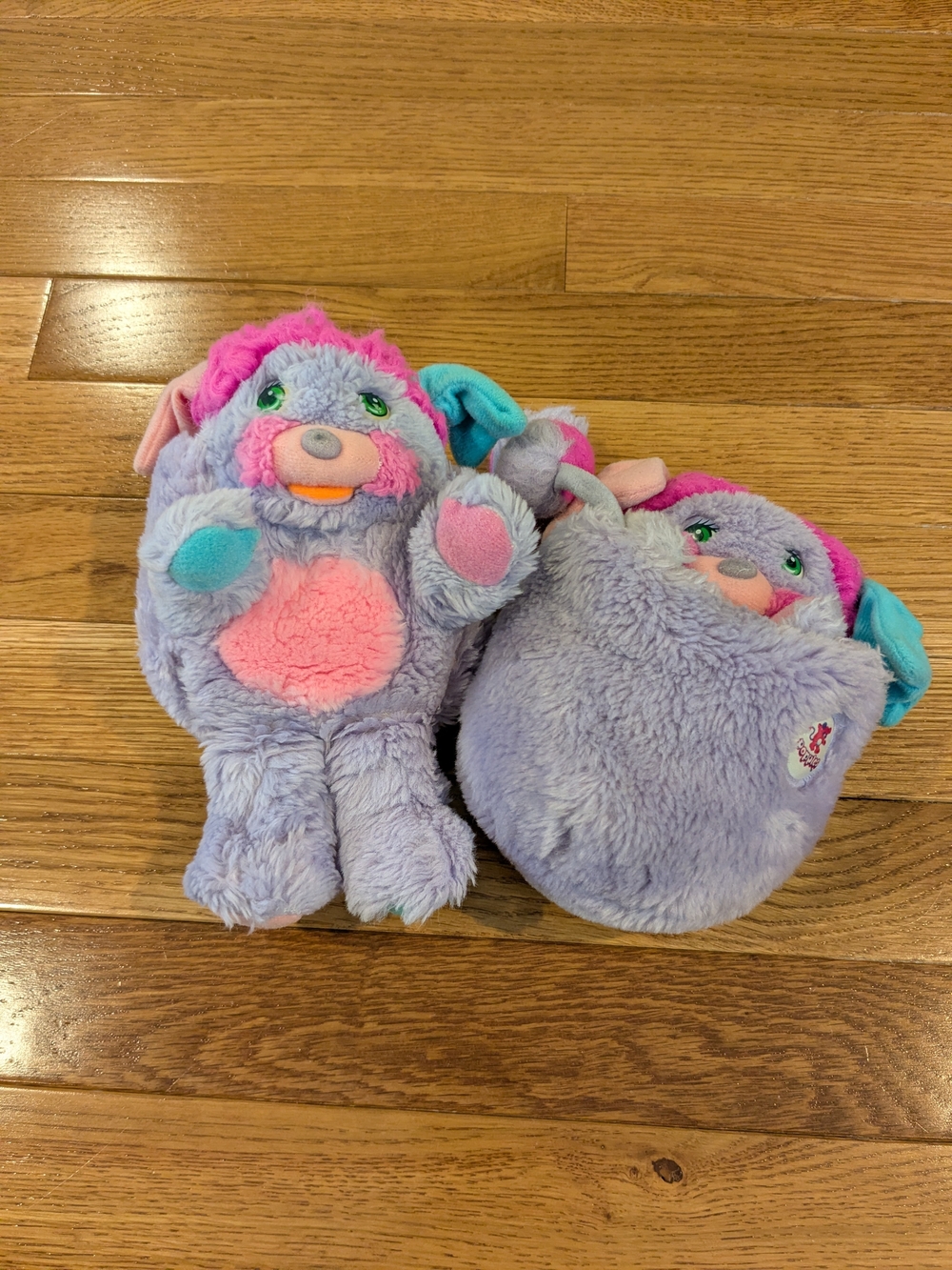 1985 Purple And Pink Popples